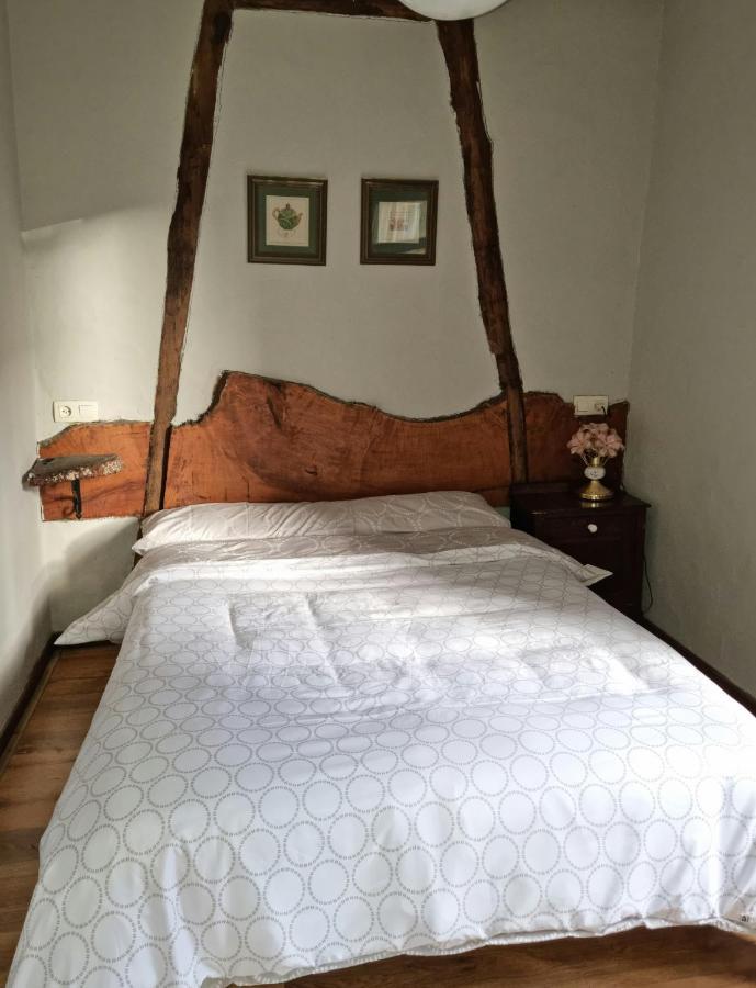 Corias Casona Junto Al Narcea 빌라 외부 사진